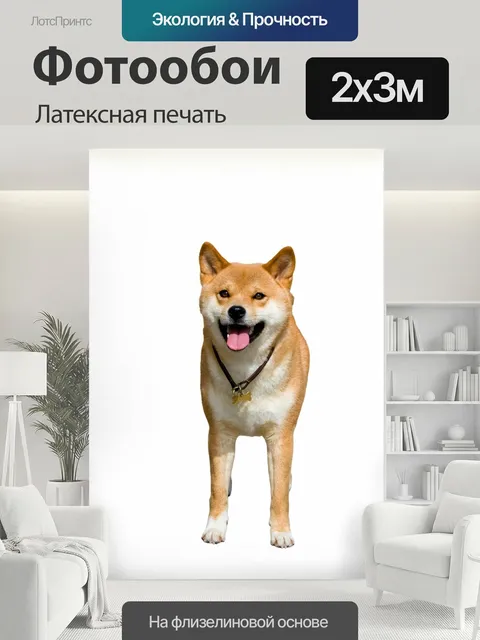 200 × 300 см · Латексная печать