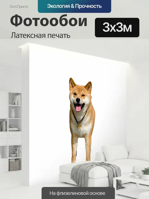 300 × 300 см · Латексная печать
