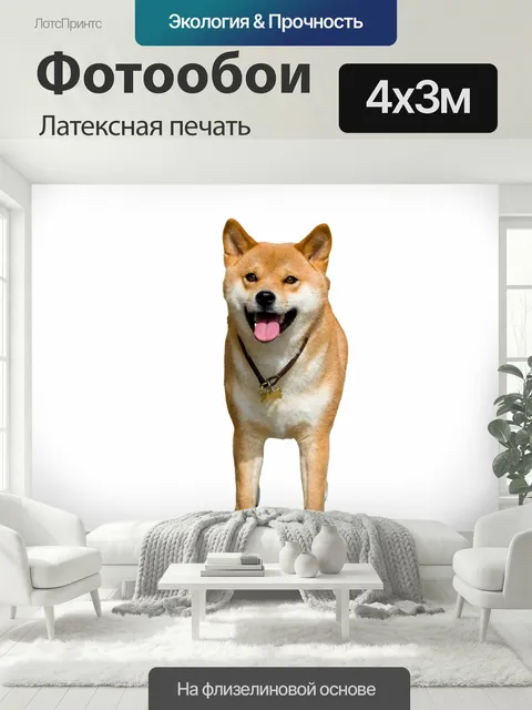 400 × 300 см · Латексная печать