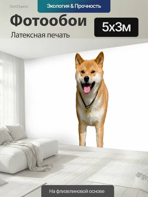 500 × 300 см · Латексная печать