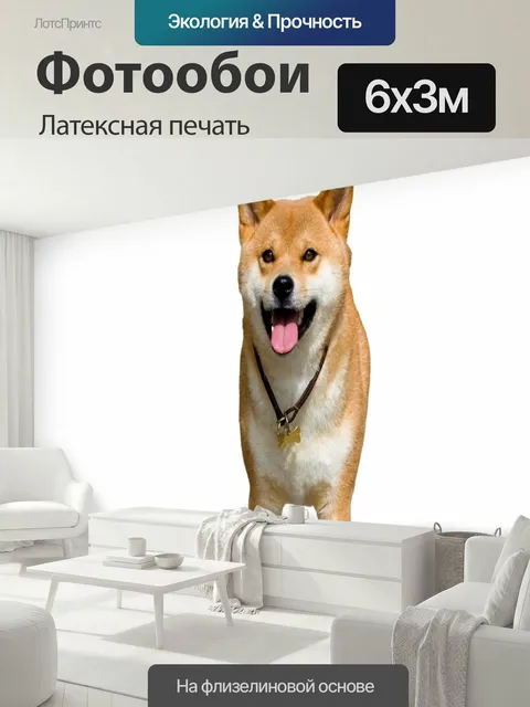 600 × 300 см · Латексная печать