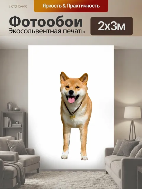 200 × 300 см · Экосольвентная печать