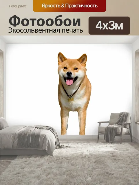 400 × 300 см · Экосольвентная печать