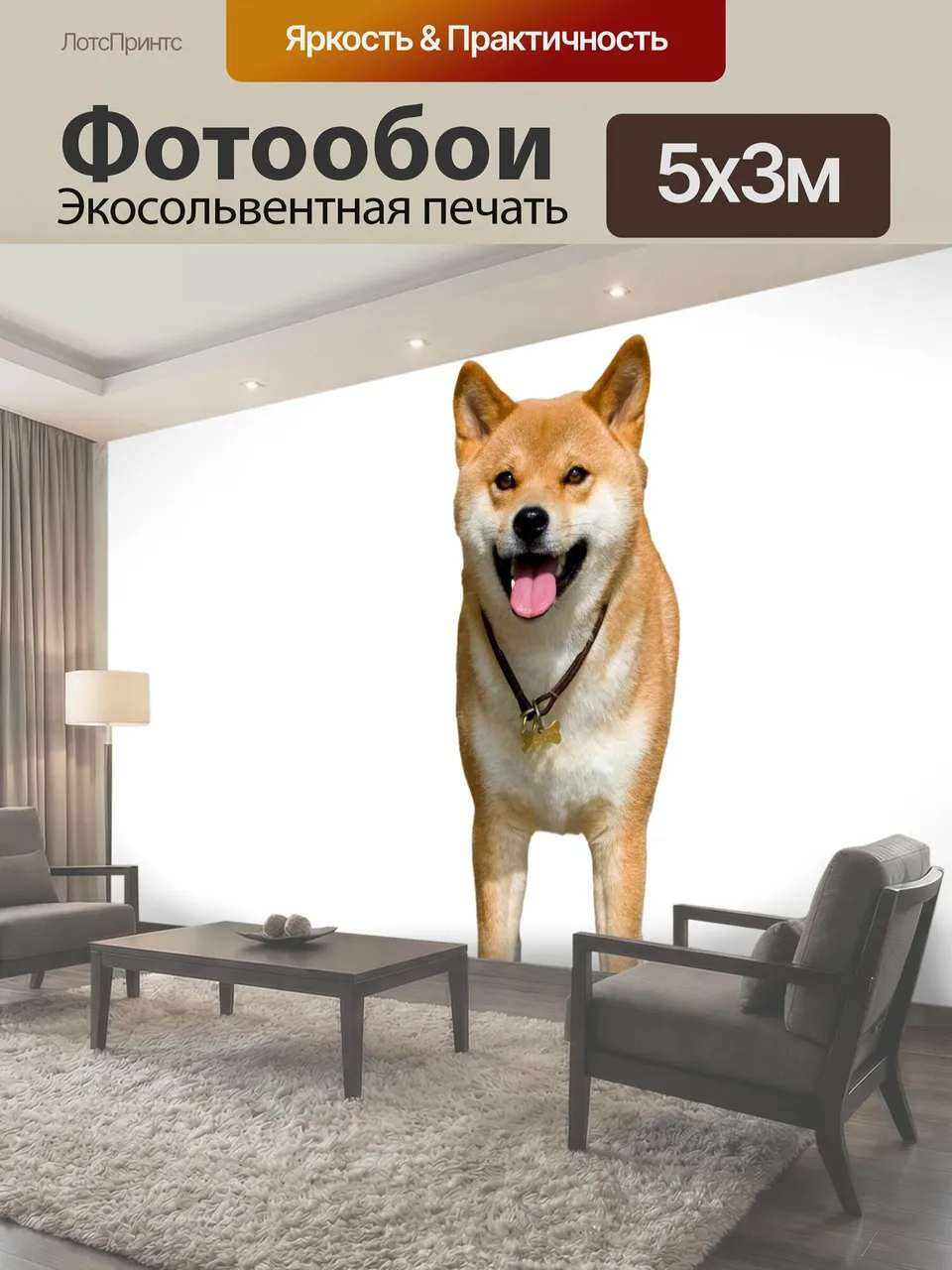 Фотообои Собака, изолированных на белый Красивые японские Сиба-ину