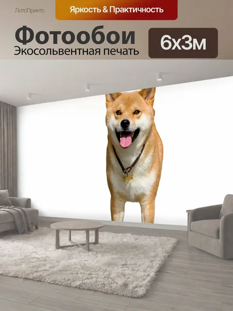 600 × 300 см · Экосольвентная печать