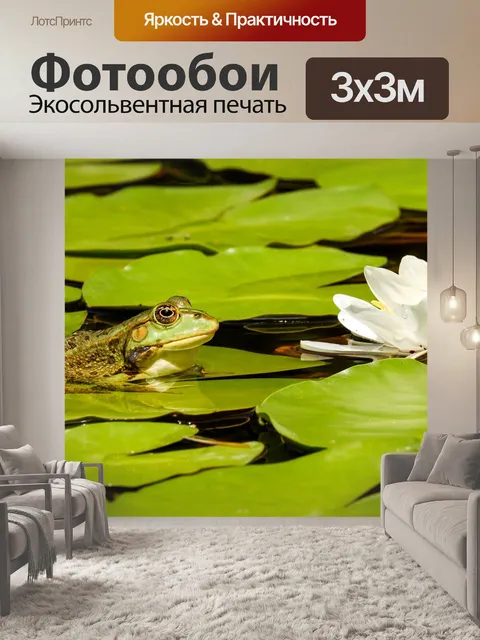 Фотообои Лягушка, пруд, лилии