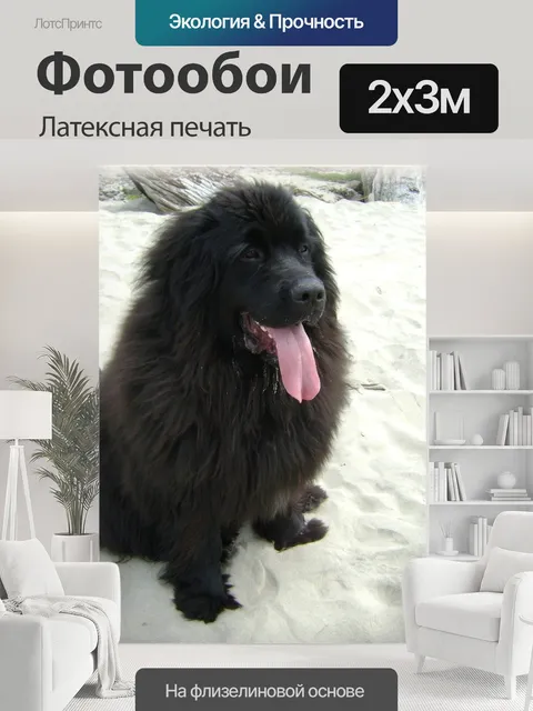 200 × 300 см · Латексная печать