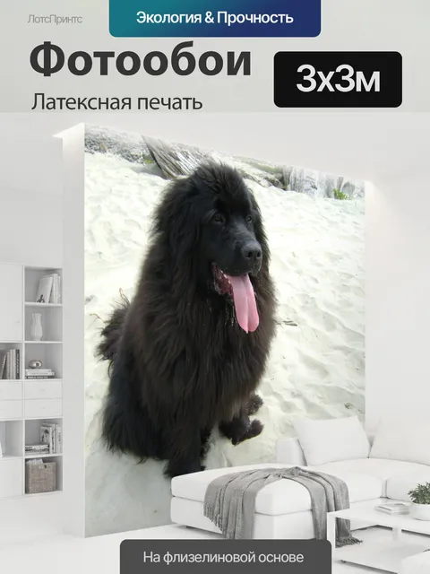 300 × 300 см · Латексная печать