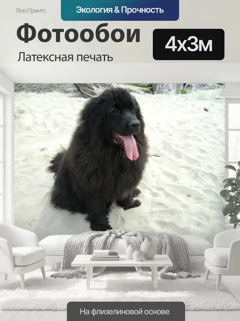 400 × 300 см · Латексная печать