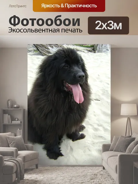 200 × 300 см · Экосольвентная печать
