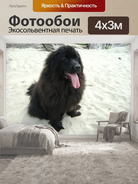 400 × 300 см · Экосольвентная печать