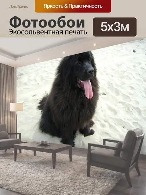 500 × 300 см · Экосольвентная печать