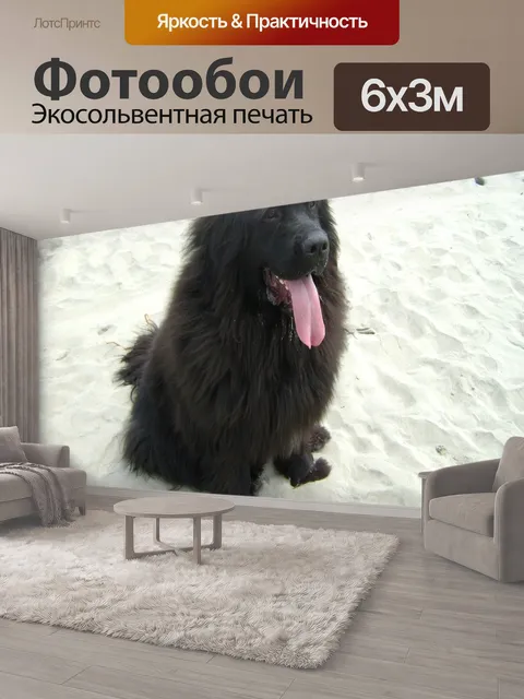 600 × 300 см · Экосольвентная печать