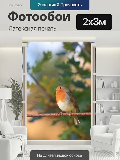 200 × 300 см · Латексная печать
