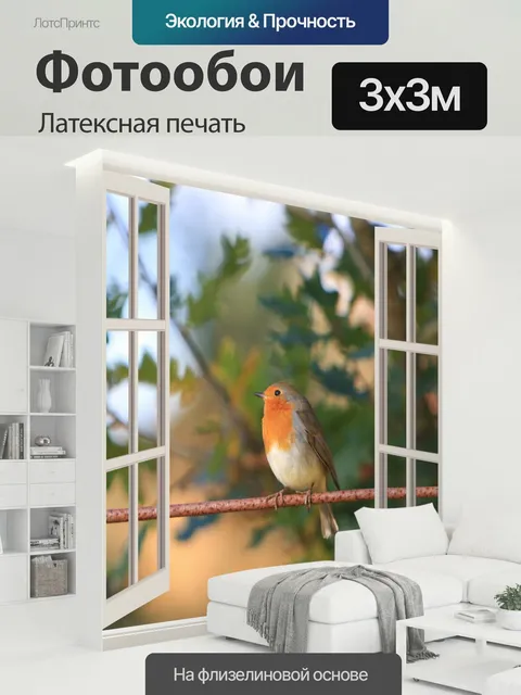 300 × 300 см · Латексная печать
