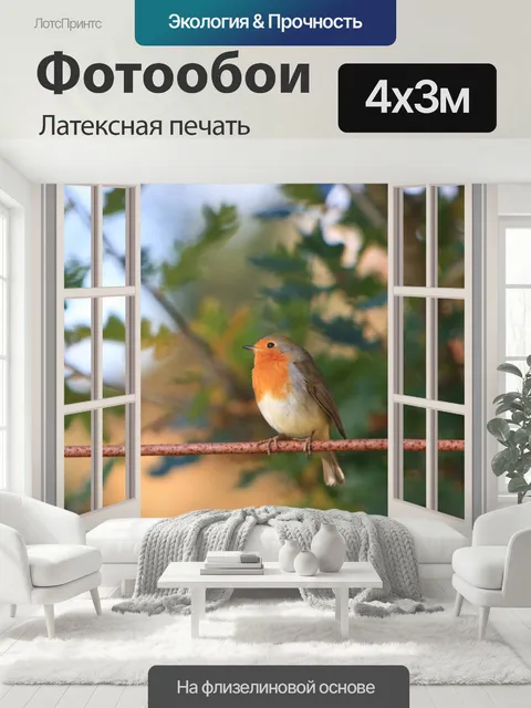 400 × 300 см · Латексная печать