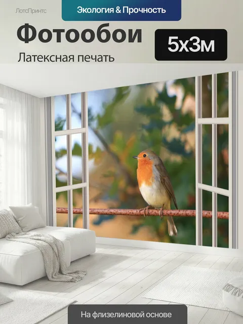 500 × 300 см · Латексная печать