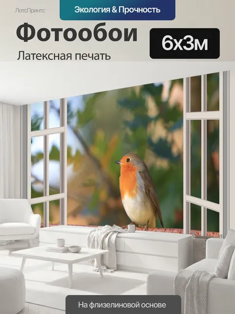 600 × 300 см · Латексная печать