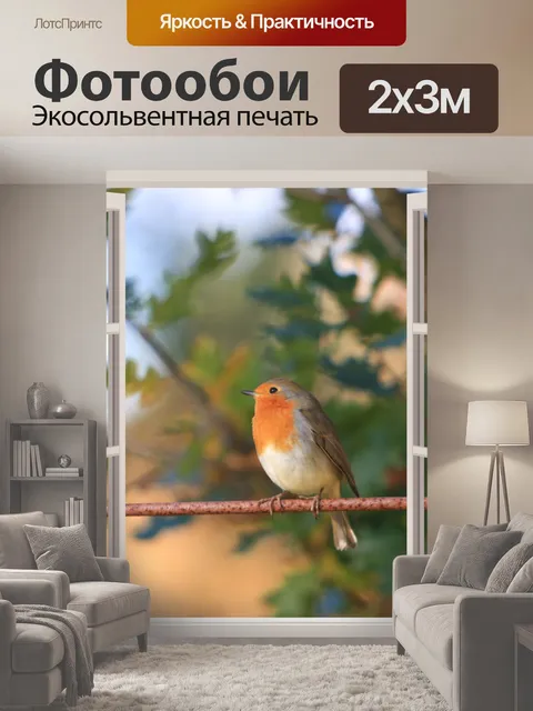 200 × 300 см · Экосольвентная печать