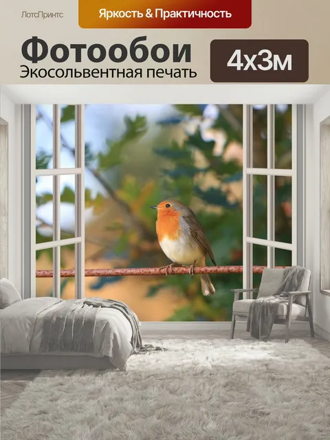 400 × 300 см · Экосольвентная печать