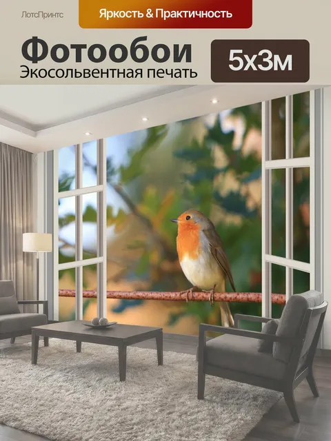 500 × 300 см · Экосольвентная печать