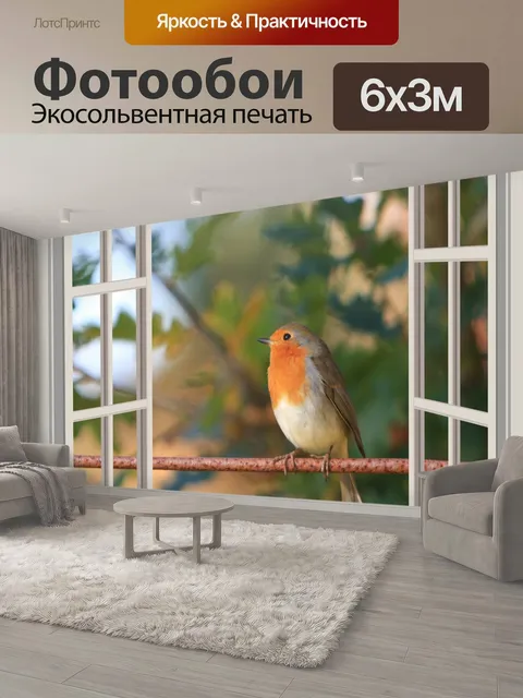 600 × 300 см · Экосольвентная печать