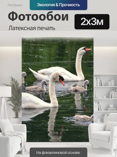 200 × 300 см · Латексная печать