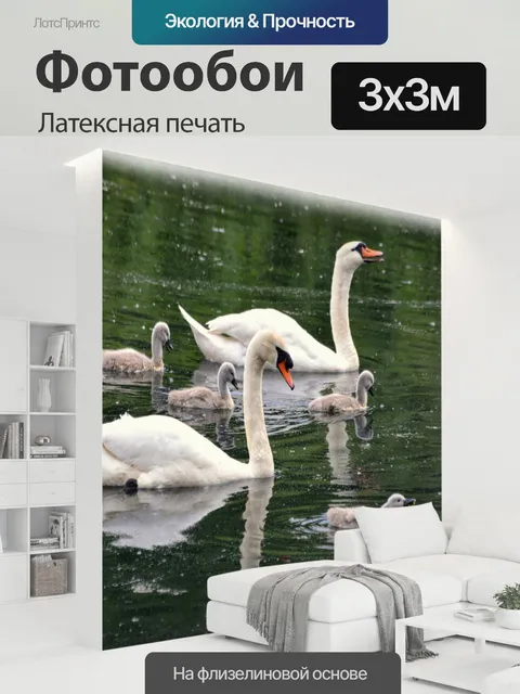 300 × 300 см · Латексная печать