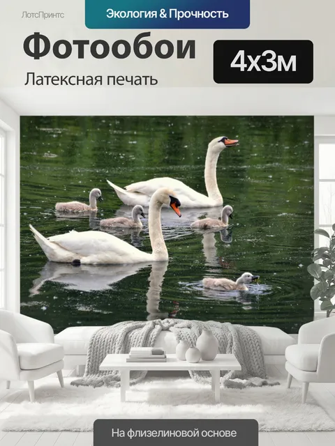 400 × 300 см · Латексная печать