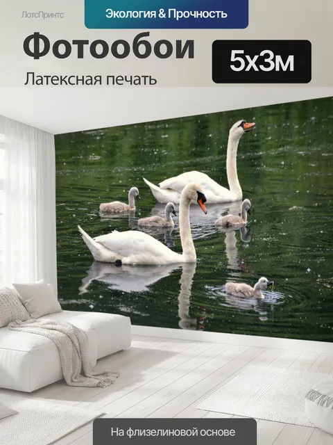 500 × 300 см · Латексная печать