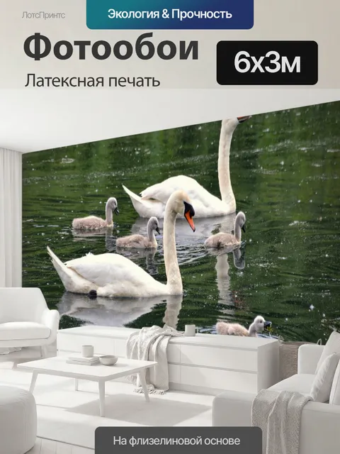 600 × 300 см · Латексная печать