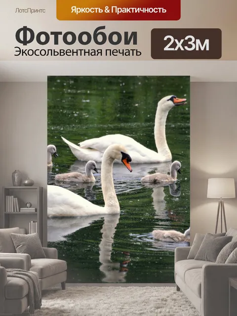 200 × 300 см · Экосольвентная печать
