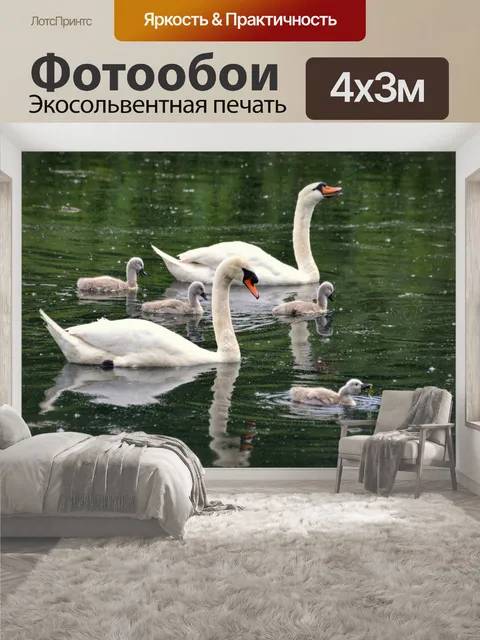 400 × 300 см · Экосольвентная печать