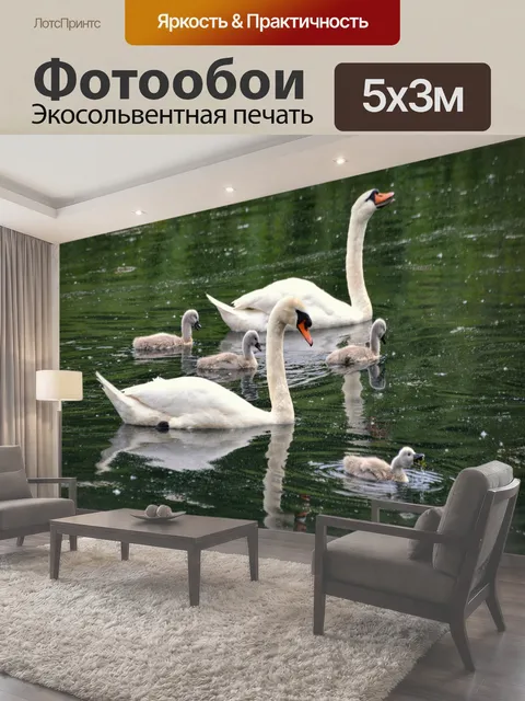 Фотообои Семья прогулка Семья лебедей в поездке лебедь птица природа фон дикий молод фото бесплатное