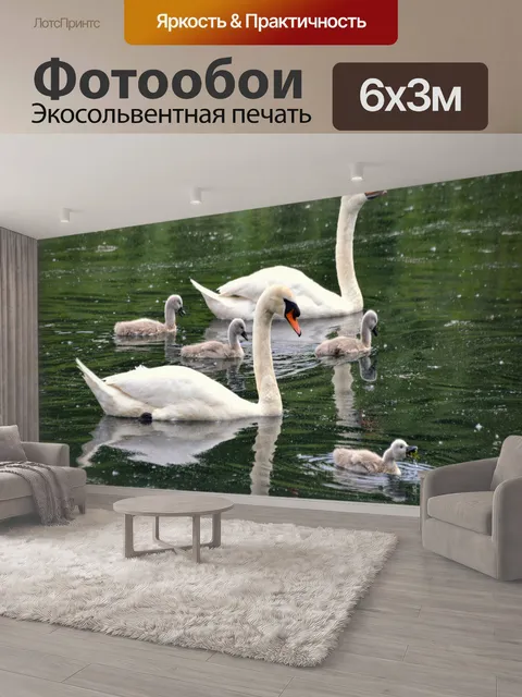 600 × 300 см · Экосольвентная печать