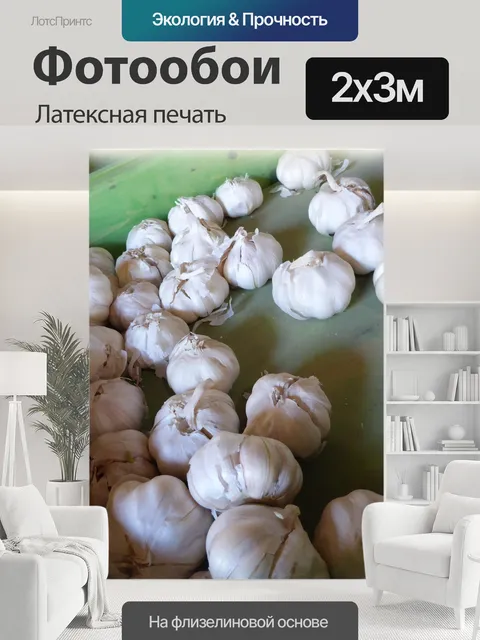 200 × 300 см · Латексная печать