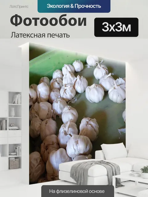 300 × 300 см · Латексная печать