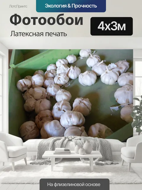 400 × 300 см · Латексная печать