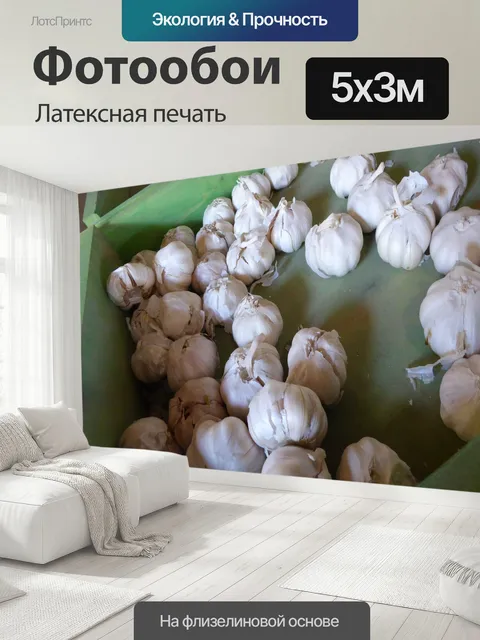 500 × 300 см · Латексная печать