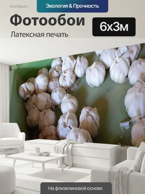600 × 300 см · Латексная печать