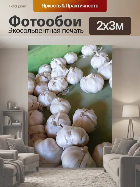 200 × 300 см · Экосольвентная печать