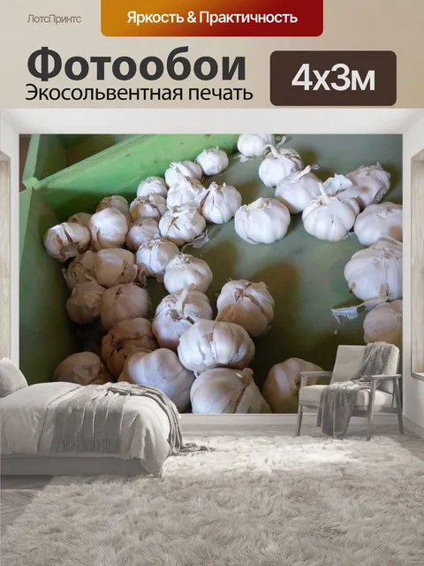 400 × 300 см · Экосольвентная печать