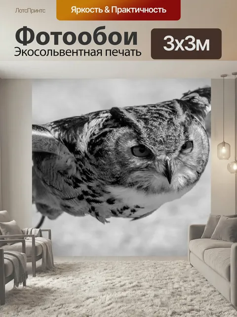 Фотообои Евразийский филин, летающий, сова