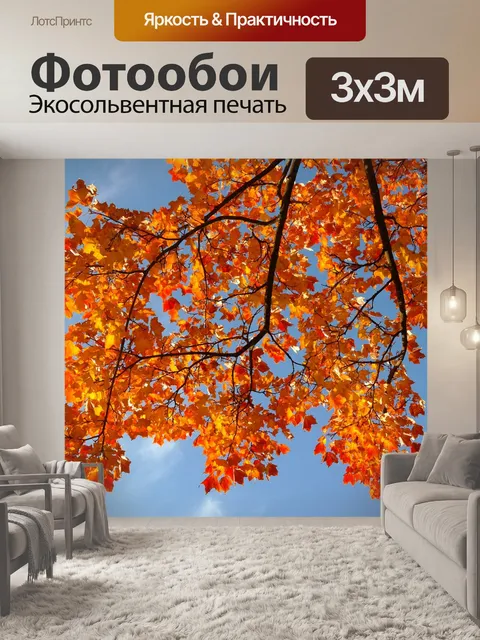Фотообои Листья, падение, осенний цвет