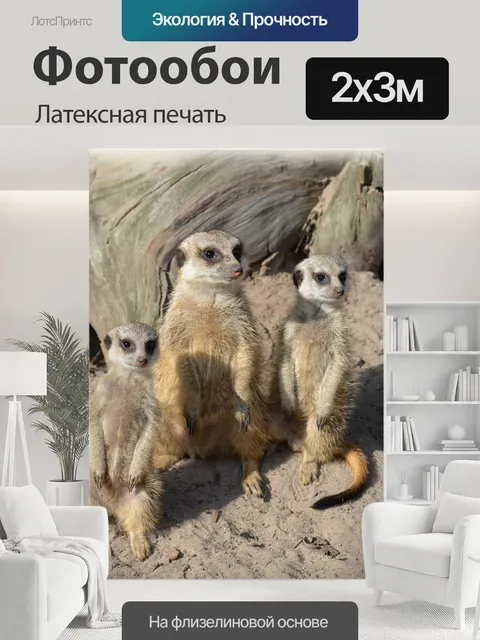 200 × 300 см · Латексная печать
