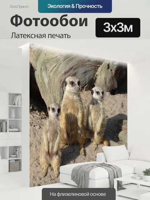 300 × 300 см · Латексная печать