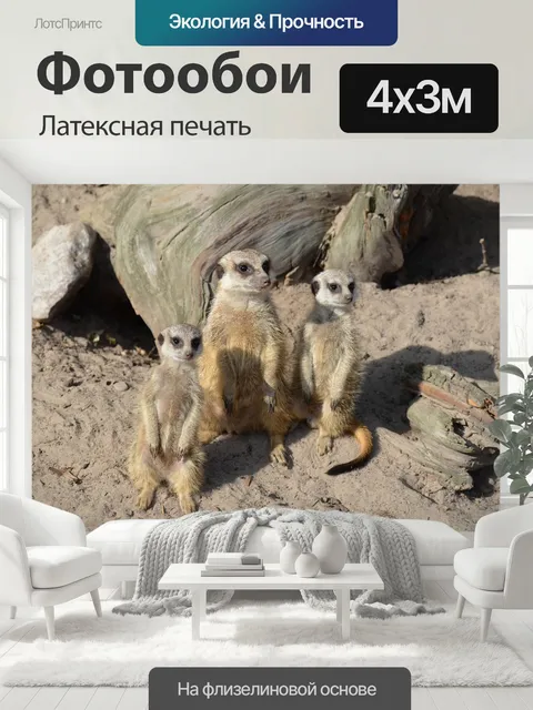 400 × 300 см · Латексная печать