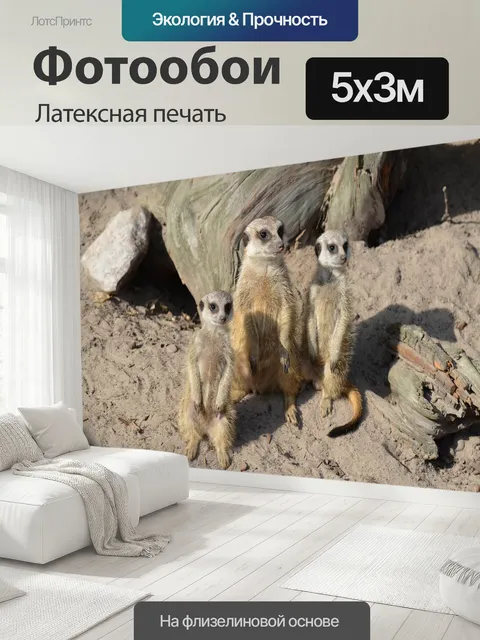500 × 300 см · Латексная печать