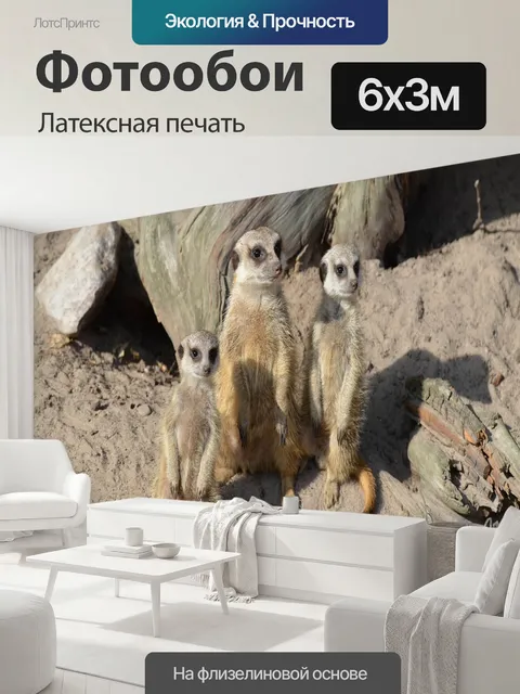 600 × 300 см · Латексная печать