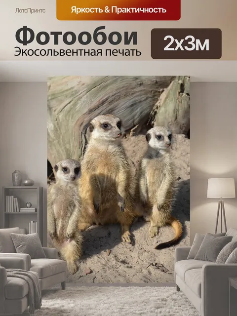 200 × 300 см · Экосольвентная печать